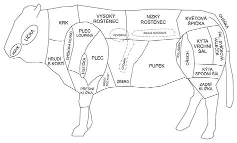 Hovězí kližka schéma